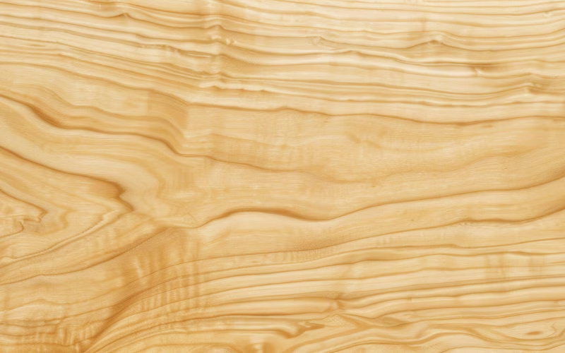 Maple Wood Grain